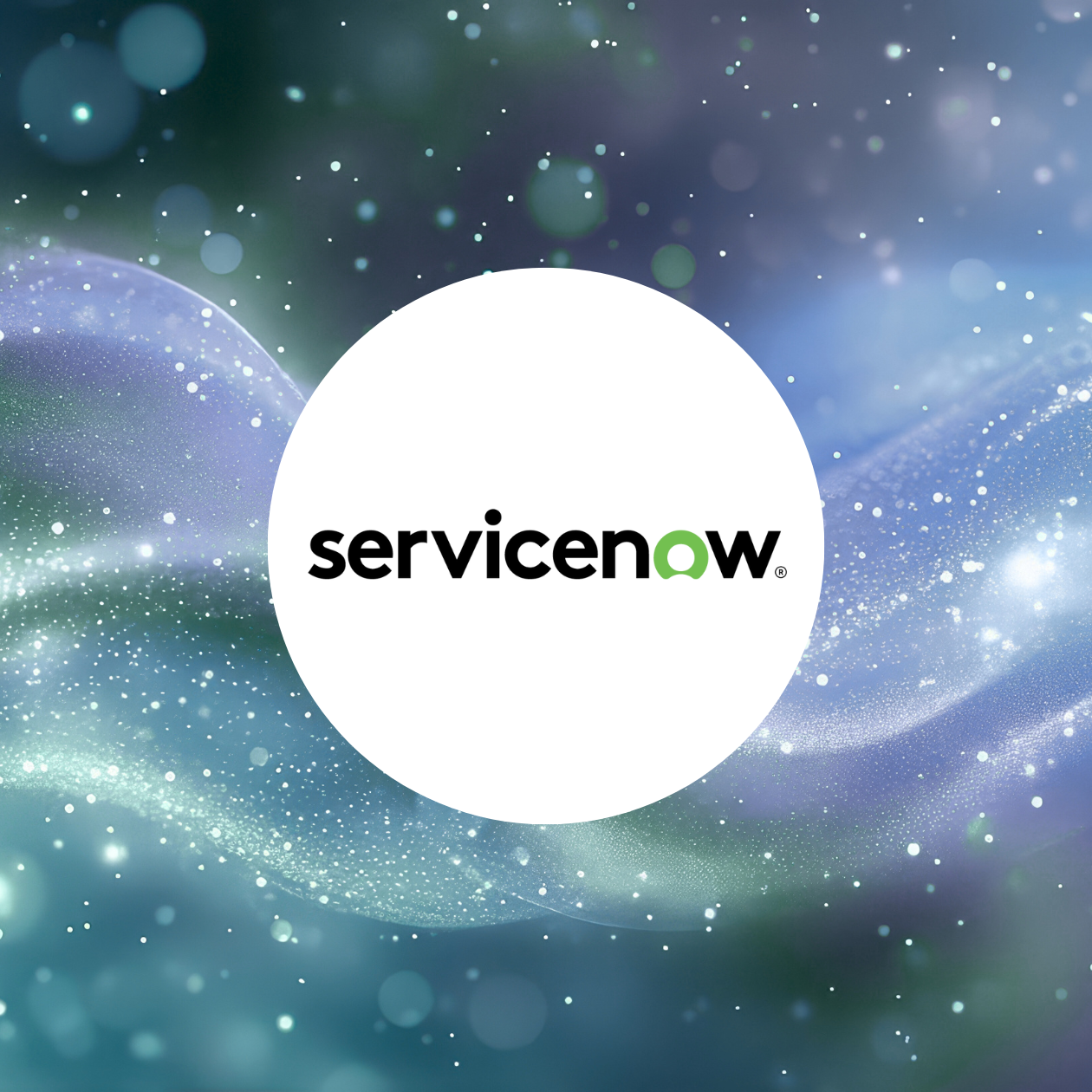 ServiceNow Partner | Levio